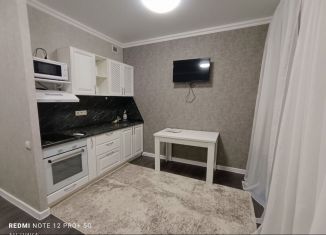 Сдам в аренду квартиру студию, 27 м2, Ростов-на-Дону, улица Ерёменко, 108с1, ЖК Пятый Элемент