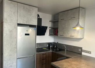 Сдается квартира студия, 24.6 м2, Мурино, Екатерининская улица, 8к1