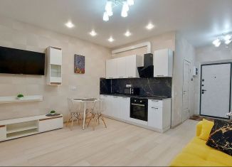 Сдаю квартиру студию, 28 м2, Тула, улица Маршала Полубоярова, 4