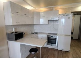 Сдаю в аренду квартиру студию, 23 м2, Благовещенск, Комсомольская улица, 89