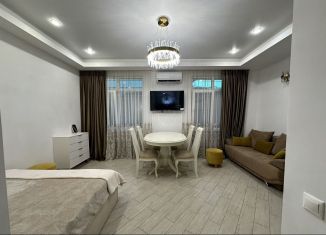 Сдаю квартиру студию, 32 м2, Сириус, Нижнеимеретинская улица, 143