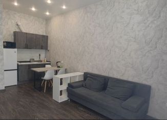 1-комнатная квартира в аренду, 41 м2, Тюмень, улица Ю.-Р.Г. Эрвье, 34к1