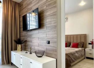 Аренда 1-ком. квартиры, 38 м2, Сочи, Пластунская улица, 123Ак3, ЖК Раз.Два.Три!