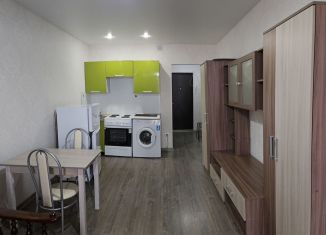 Сдаю в аренду квартиру студию, 24 м2, Мурино, Петровский бульвар, 7, ЖК Ласточка