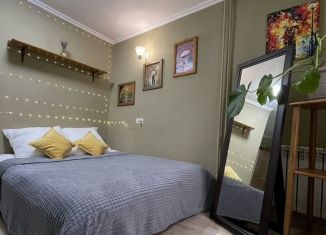 Сдам однокомнатную квартиру, 24 м2, Сочи, улица Революции, 18, микрорайон Черемушки