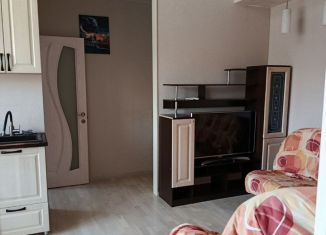 2-комнатная квартира в аренду, 45 м2, Новосибирск, Ленинский район, проспект Карла Маркса, 3А