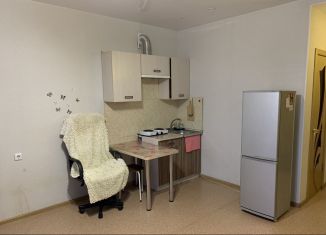 Квартира на продажу студия, 30 м2, Благовещенск, улица Василенко, 20/3