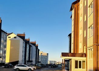 Продажа 1-ком. квартиры, 30 м2, деревня Крутые Выселки, Лучезарная улица, 8, ЖК Изумрудный Город