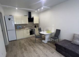 Сдам однокомнатную квартиру, 58 м2, Тюмень, Харьковская улица, 64