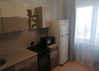 Однокомнатная квартира в аренду, 27 м2, Пермь, улица Красные Казармы, ЖК Арсенал