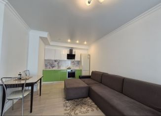 Сдается 2-комнатная квартира, 45 м2, Сочи, микрорайон Малый Ахун, улица Дорога на Большой Ахун, 14А