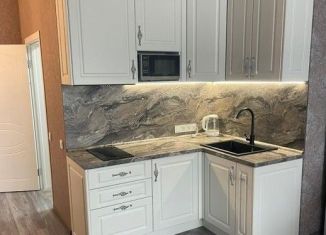 Сдам 1-комнатную квартиру, 35 м2, Ростов-на-Дону, улица Ерёменко, 114, ЖК Пятый Элемент