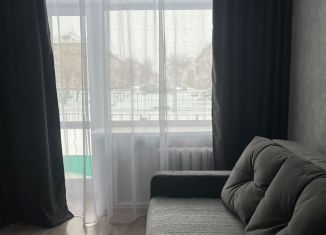 Аренда однокомнатной квартиры, 30.3 м2, Чусовой, улица Чайковского, 28