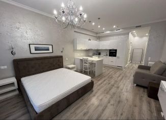 Сдам квартиру студию, 50 м2, Сочи, Курортный проспект, 105, микрорайон Приморье