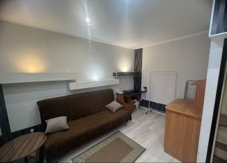 Сдается в аренду 1-ком. квартира, 30 м2, Тобольск, 9-й микрорайон, 22