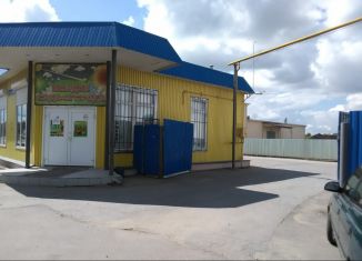 Сдаю в аренду склад, 150 м2, Новомосковск, Техническая улица, 6В