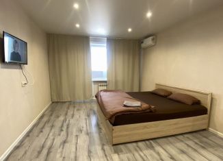 Сдам в аренду 1-комнатную квартиру, 42 м2, Хабаровск, улица Радищева