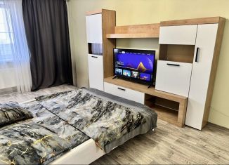 Сдается 1-комнатная квартира, 50 м2, Липецк, улица Дмитрия Фурсова, 7