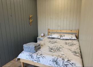 Сдаю в аренду дом, 24 м2, деревня Кандаковка, улица Ленина, 2Е