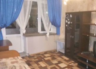 Продажа 1-комнатной квартиры, 30.2 м2, Дзержинск, улица Терешковой, 62А