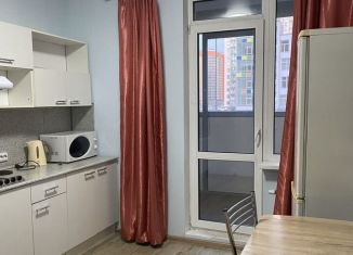 Однокомнатная квартира на продажу, 30.3 м2, Мурино, Воронцовский бульвар, 16к2, ЖК Краски Лета