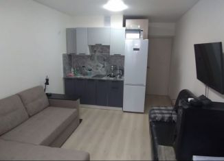 Аренда квартиры студии, 22 м2, Екатеринбург, Советская улица, 64/2, ЖК Цветной Бульвар