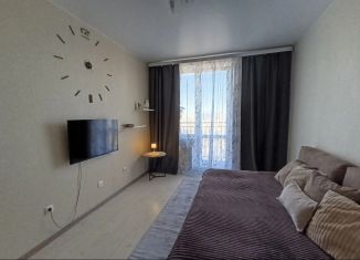 Сдается в аренду 2-комнатная квартира, 48 м2, Тихвин, улица Ярослава Иванова, 5