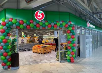 Помещение свободного назначения на продажу, 1000 м2, Челябинск, Краснопольский проспект, 17Б, Курчатовский район