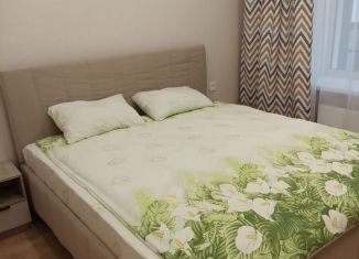 Аренда 2-ком. квартиры, 45 м2, Сыктывкар, район Орбита