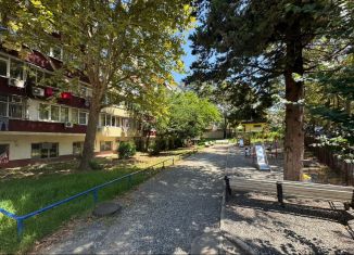 Продажа квартиры студии, 18 м2, Сочи, улица Чебрикова, 40, микрорайон Ареда