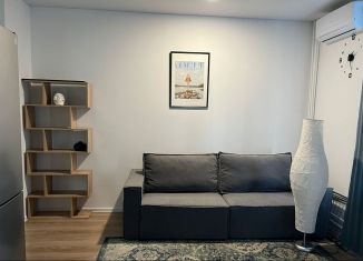 Сдам квартиру студию, 27 м2, Мытищи, 1-й Стрелковый переулок, 1