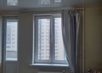 Квартира на продажу студия, 23.5 м2, Кудрово, Пражская улица, 7, ЖК Вернисаж