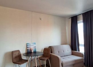 Сдам квартиру студию, 25.6 м2, деревня Новое Девяткино, жилой комплекс Заречный Парк, 7.2