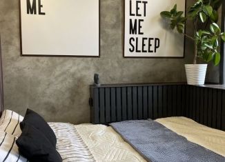 Сдается квартира студия, 26.4 м2, Пермь, улица Куйбышева, 109А, Свердловский район