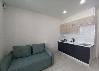 Квартира на продажу студия, 25 м2, Ростов-на-Дону, Батуринская улица, 167/16, ЖК Солнечный