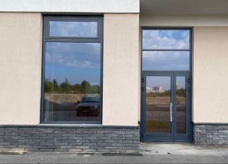 Продажа помещения свободного назначения, 65.6 м2, Кудрово, проспект Строителей, 1к2