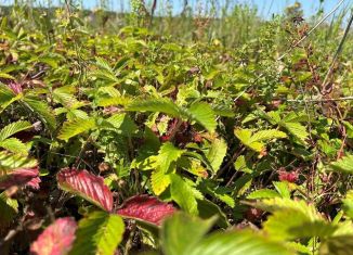 Продам участок, 12.4 сот., Республика Башкортостан, Просторная улица, 14А