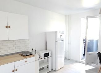 Квартира в аренду студия, 27.5 м2, Гатчина, улица Чехова, 43