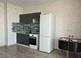 Продается квартира студия, 25.6 м2, Новосибирск, ЖК 1-й на Рябиновой, Рябиновая улица, 14/1