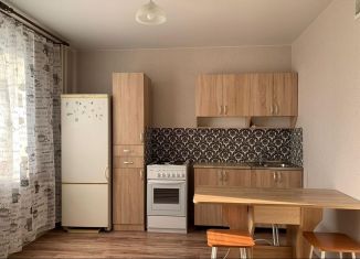 Сдам 1-комнатную квартиру, 30 м2, Ростов-на-Дону, Художественная улица, 22/17, ЖК Платовский