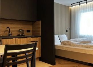 Продается квартира студия, 25.9 м2, Санкт-Петербург, проспект Большевиков, 68к1, метро Пролетарская