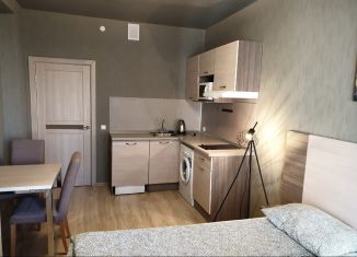 Сдам в аренду квартиру студию, 30 м2, Санкт-Петербург, Пулковское шоссе, 14Е