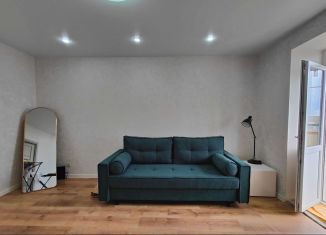 Сдам в аренду 1-ком. квартиру, 41.7 м2, Пенза, улица Зарубина, 19