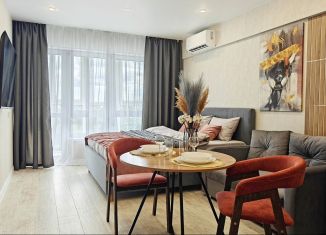 Сдаю в аренду квартиру студию, 29 м2, Липецк, улица М.И. Неделина, 3А