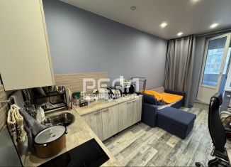 Квартира на продажу студия, 20.7 м2, Кудрово, Столичная улица, 11к3, ЖК Вернисаж