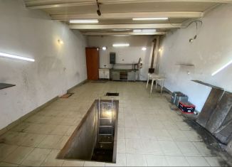 Сдается в аренду гараж, 29 м2, Нижний Новгород, метро Заречная, улица Лейтенанта Шмидта, 17А