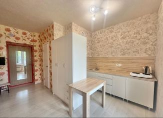 Продается квартира студия, 19.7 м2, Воронеж, улица Кривошеина, 13/9, ЖК Трамвай желаний