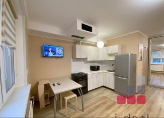 Квартира в аренду студия, 25 м2, Москва, Донецкая улица, 27, район Марьино