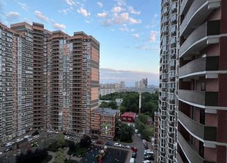 Аренда 1-ком. квартиры, 35 м2, Краснодар, Российская улица, 79/3к1, микрорайон ЗИП