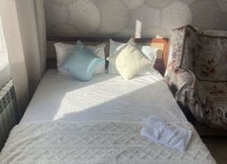 Квартира в аренду студия, 27 м2, Новосибирск, улица Ясный Берег, 4, Ленинский район